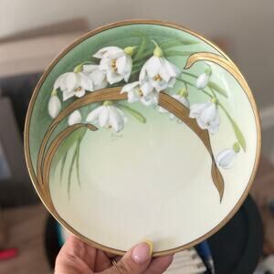 Hand-Painted PT Tirschenreuth (Germany) Floral Plate with Gold Trim